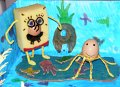 spongeegg