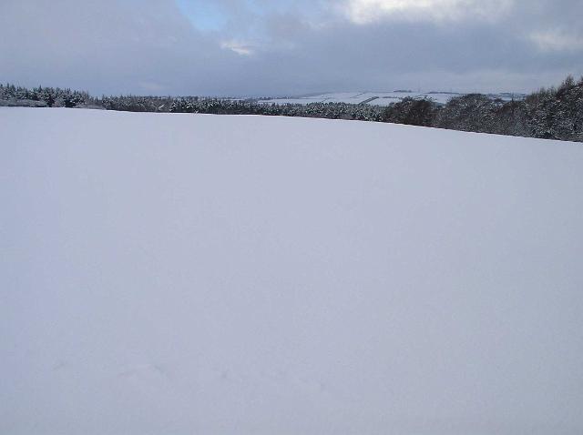 fieldw.jpg