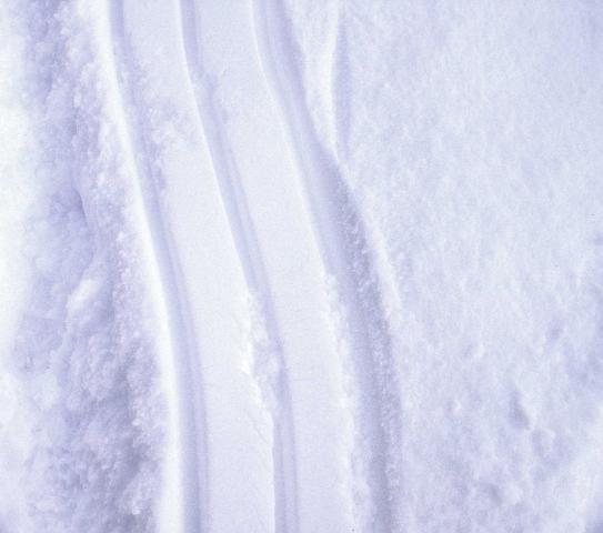tracksw.jpg