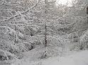 firsmoresnoww