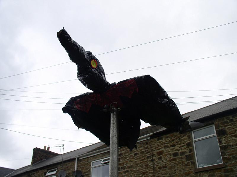 crowfrombelow.jpg