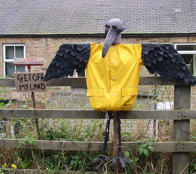 scarycrow.jpg