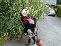 DSCF2443