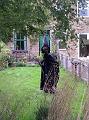 witch